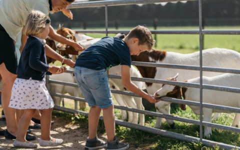 2e Pinksterdag uitjes