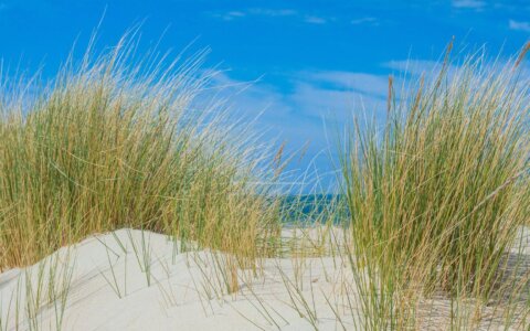 toeristische tips zeeland